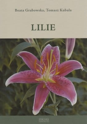Lilie Beata Grabowska.jpg
