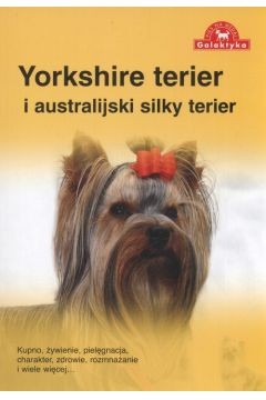 Yorkshire terier i australijski silky terier Outlet.jpg