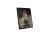 d379e514d7b37fc7f6eb5e73c9a0.png