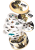 rebel-gra-rodzinna-dobble-mandalorian-asset1.png
