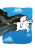 rebel-gra-karciana-eksplodujace-kotki-dwuosobowe-asset5.png