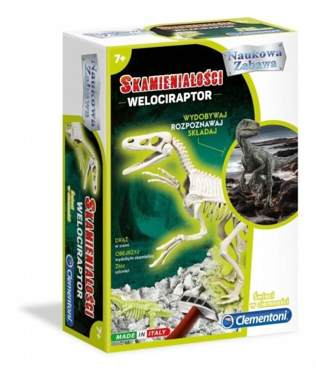 skamienialosci-welociraptor-b-iext115755563.jpg