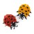 ORIGAMI_2568_ladybugs-768x768.jpg
