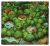 rebel-gra-rodzinna-moje-male-everdell-mapa.png