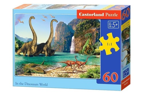 229448.jpg