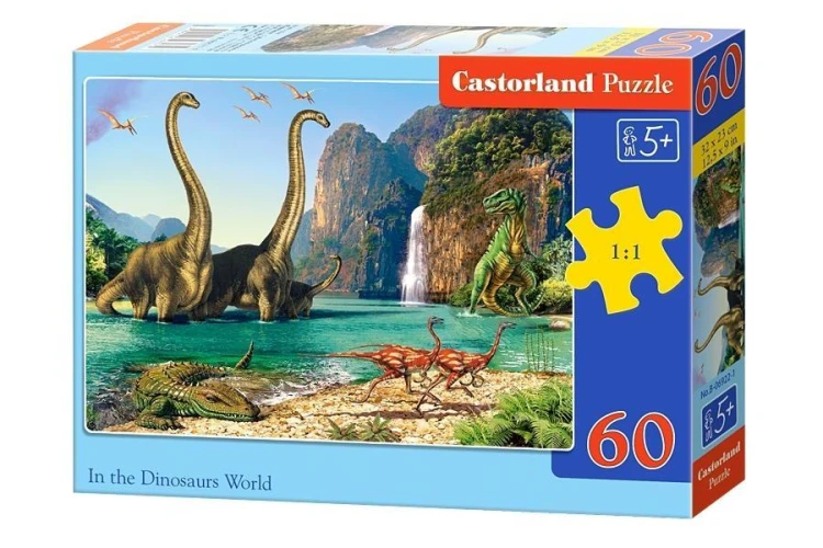 229448.jpg