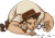 rebel-gra-rodzinna-nowe-strony-art6.png