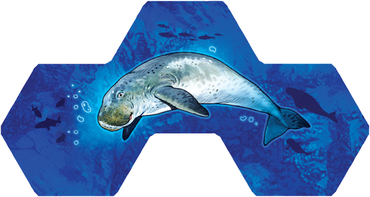 rebel-gra-rodzinna-aqua-asset6.png