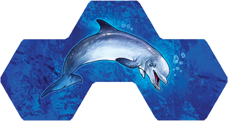 rebel-gra-rodzinna-aqua-asset5.png