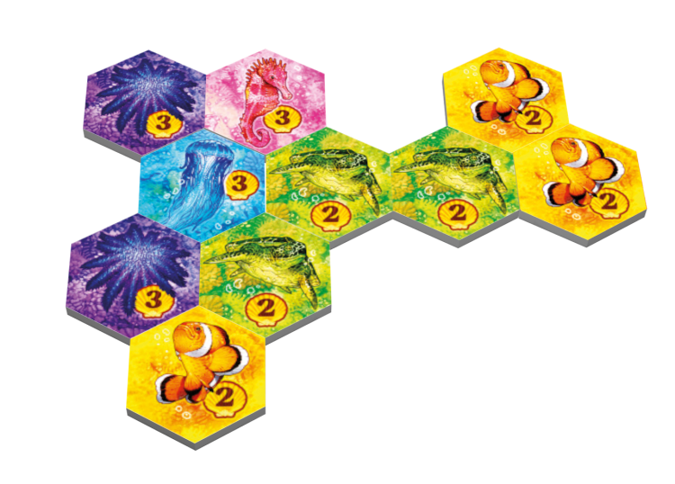 rebel-gra-rodzinna-aqua-asset3.png