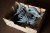 Insert pasujący do gry Massive Darkness 2 Heavenfall (dodatek) z HDF-u