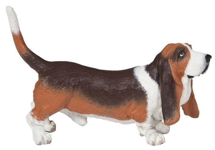 Basset