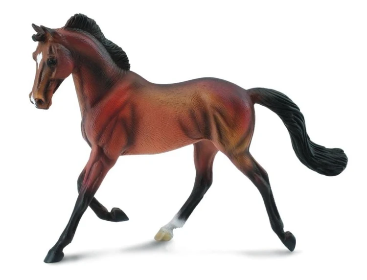 Klacz Thoroughbred maści Bay