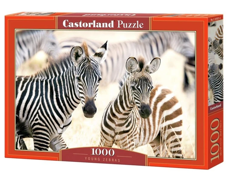 Puzzle 1000 Young Zebras