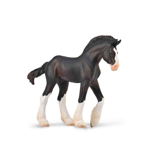 Źrebię Clydesdale maści czarnej