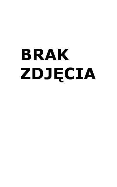 Brick Trick - Travel Pogoda M TREFL