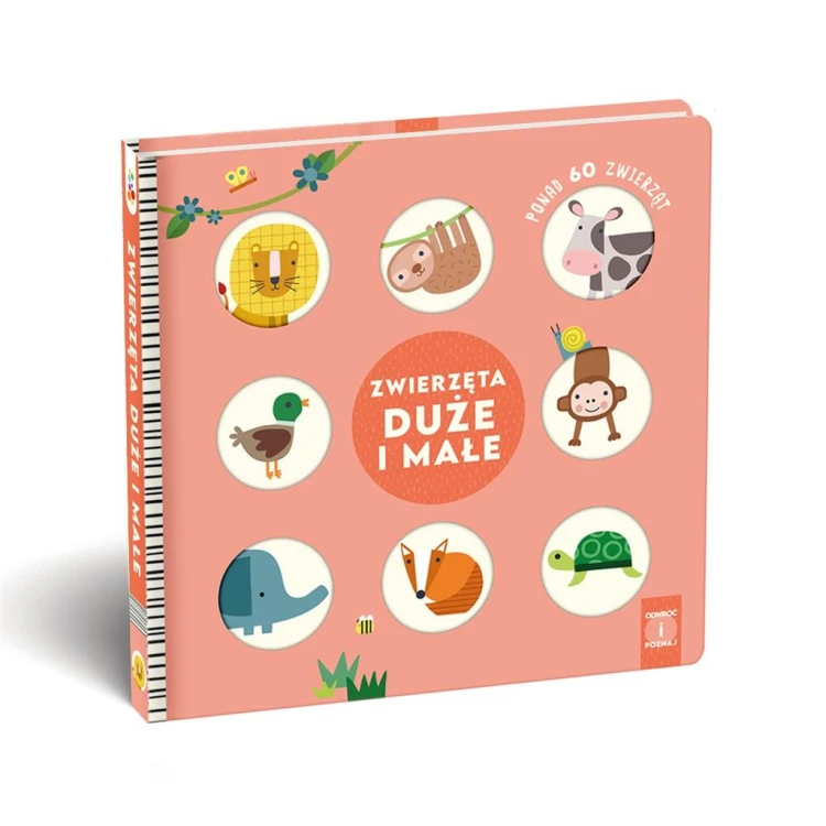 Zwierzęta małe i duże