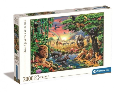 596077.jpg