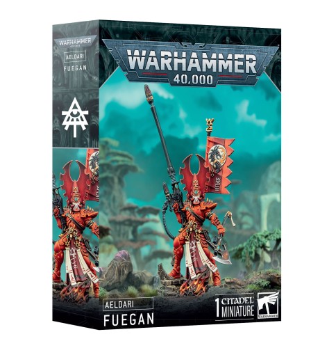 https___trade.games-workshop.com_assets_2025_01_99120104103_AELFuegan03.jpg