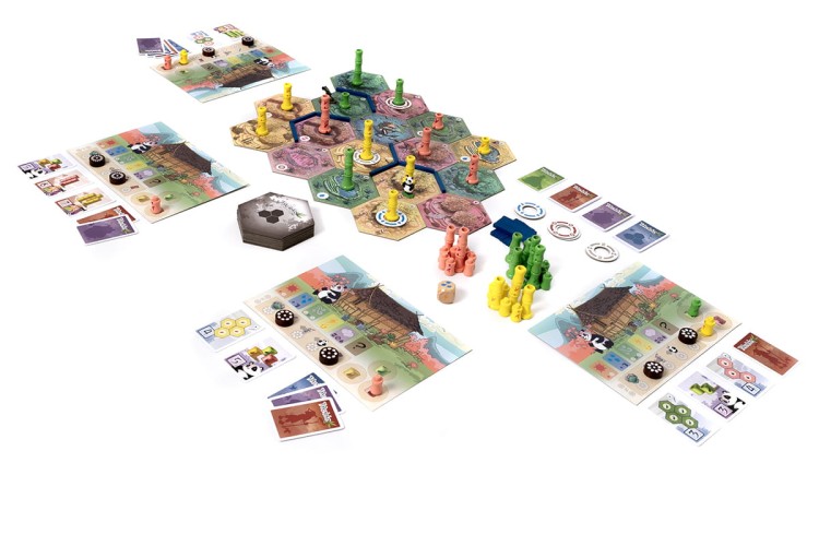 rebel-gra-rodzinna-takenoko-eco-foto3.jpg