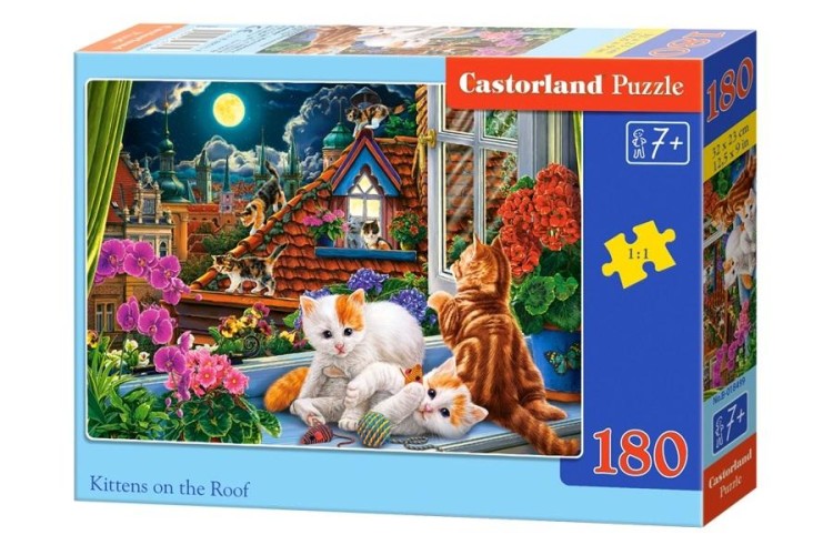 530138.jpg