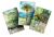 rebel-dodatek-lesne-rozdanie-wyprawy-asset2.png