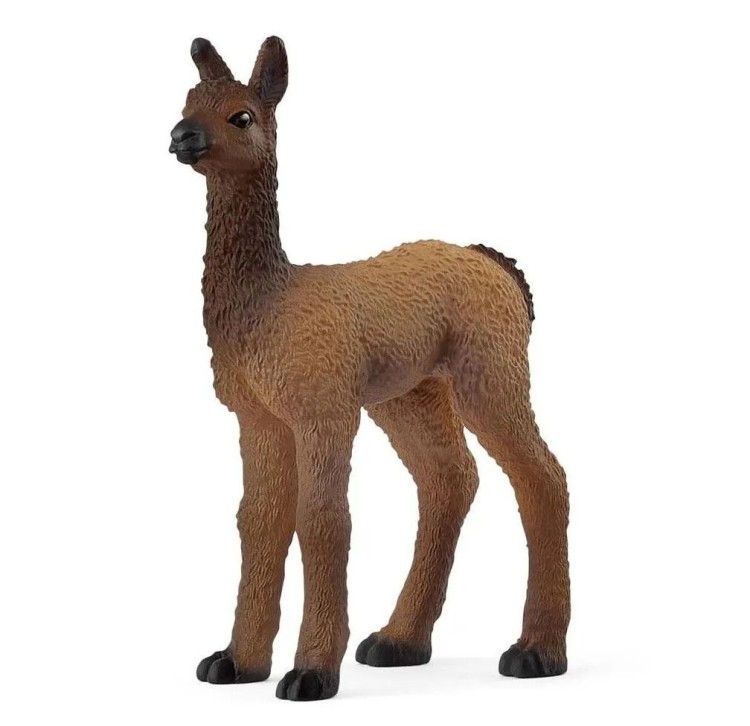 Lama mała