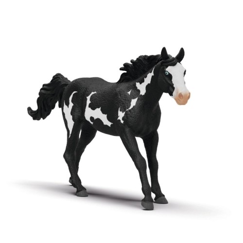 Wałach rasy Paint Horse
