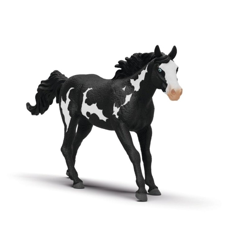 Wałach rasy Paint Horse