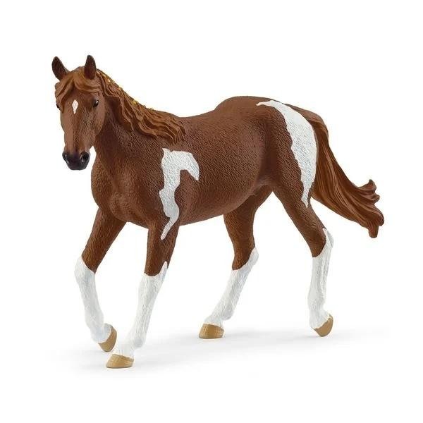 Klacz rasy Paint Horse