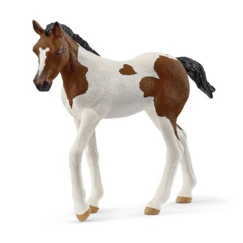 Źrebak rasy Paint Horse