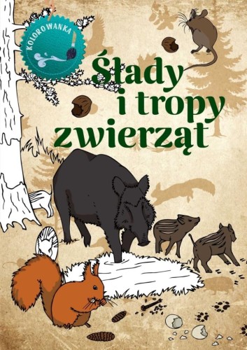 Ślady i tropy zwierząt kolorowanka