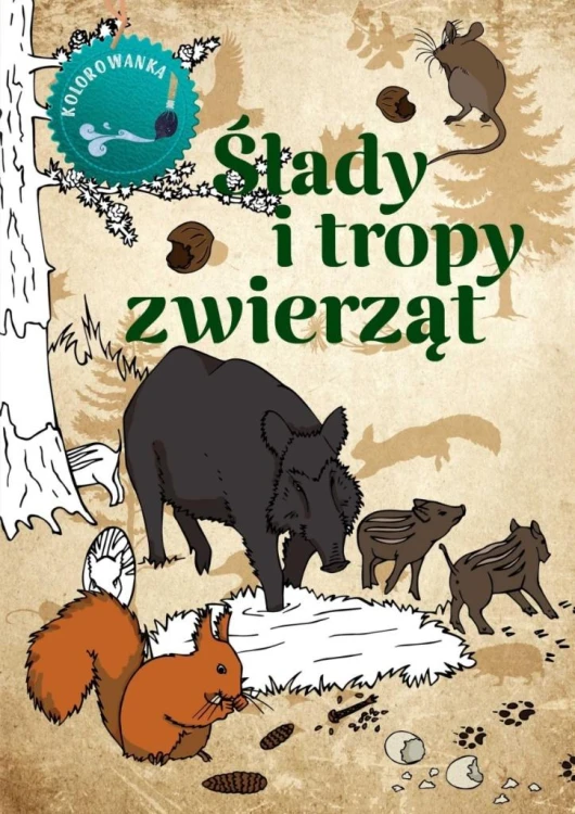 Ślady i tropy zwierząt kolorowanka