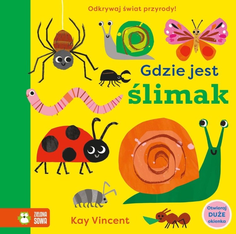 Gdzie jest ślimak