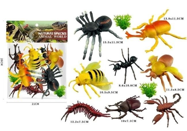 Insekty