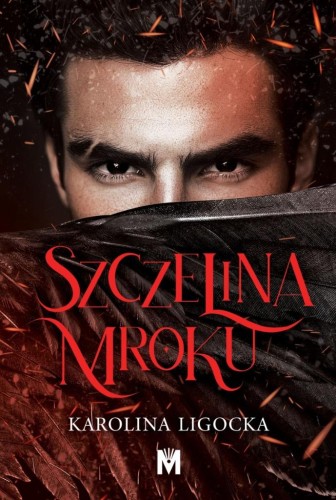 Szczelina mroku