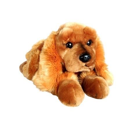 Pies Spaniel 62cm