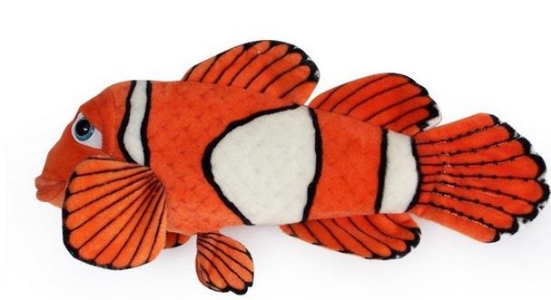 Ryba błazenek 45cm