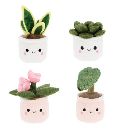 Plant Bobballs 12cm mix