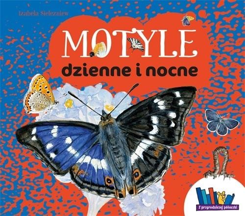 Motyle dzienne i nocne