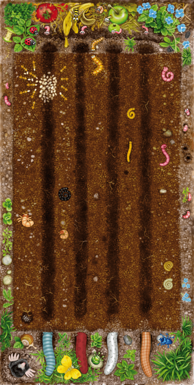rebel-gra-dla-dzieci-gnaj-robaczku-asset3.png