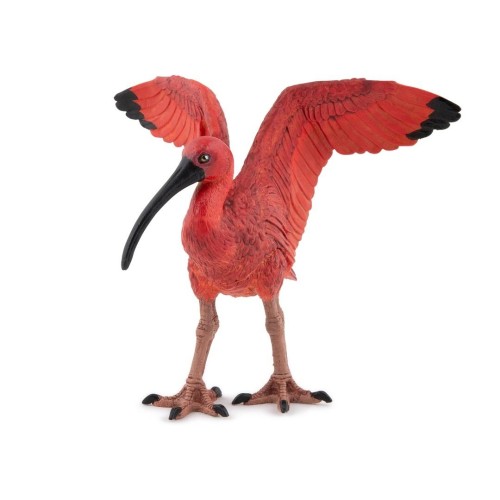 Ibis szkarłatny