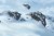 rebel-gra-strategiczna-star-wars-bitwa-o-hoth-art3.jpg