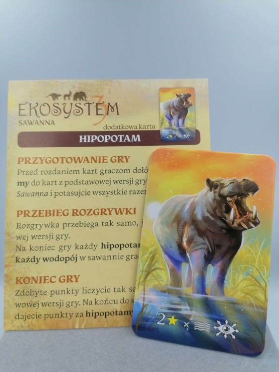 Ekosystem sawanna - 19 szt(1).jpg
