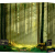 rebe-gra-strategiczna-czarny-las-box3d-min.png