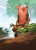rebel-gra-rodzinna-everdell-duo-art2-min.jpg