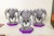 8_max.jpg