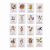 csPhotos_Photo_8A3B592B-4264-411E-AC95-2C4EE6EAABC1_1.png