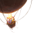 rebel-gra-strategiczna-dewan-art3.png