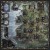 rebel-gra-strategiczna-brass-lancashire-asset2.jpg